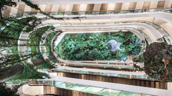 Thumbnail for CapitaMall Nuohemule